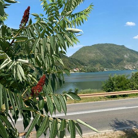 Dijanin Konak Ζβόρνικ Εξωτερικό φωτογραφία