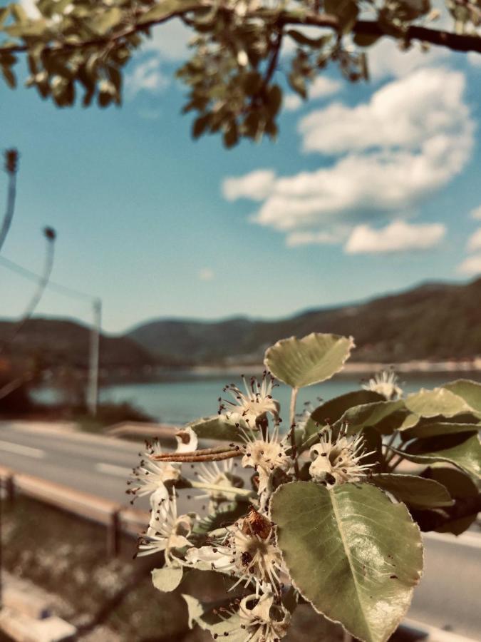Dijanin Konak Ζβόρνικ Εξωτερικό φωτογραφία